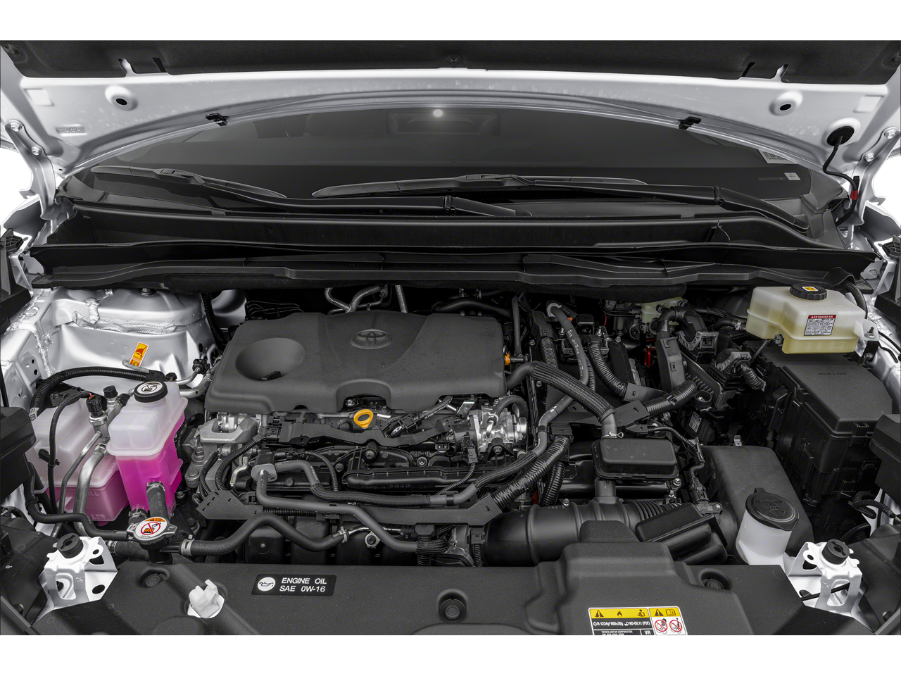 2025 Toyota Sienna LE 8 Passenger