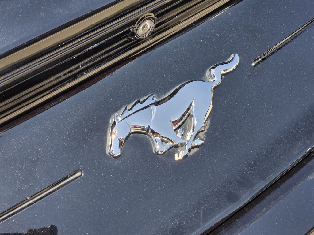2020 Ford Mustang EcoBoost