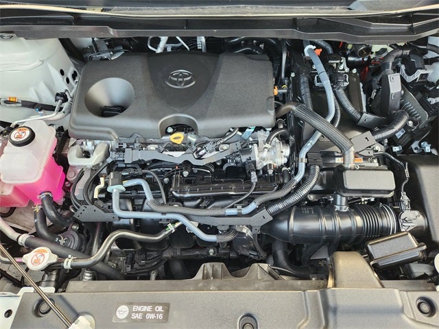 2025 Toyota Sienna Platinum 7 Passenger