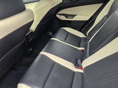 2024 Lexus NX 250 Premium