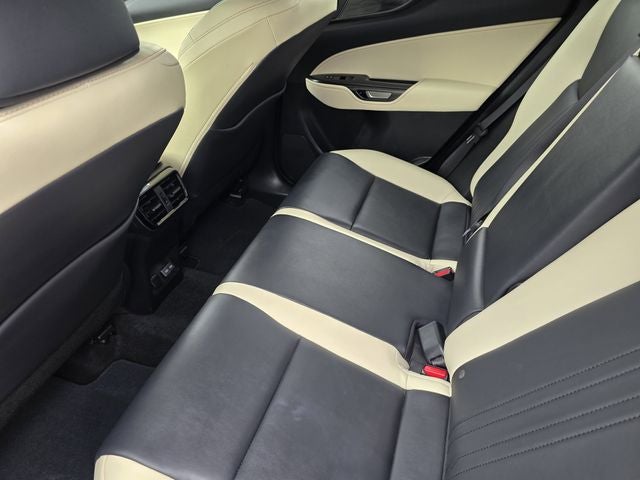 2024 Lexus NX 250 Premium