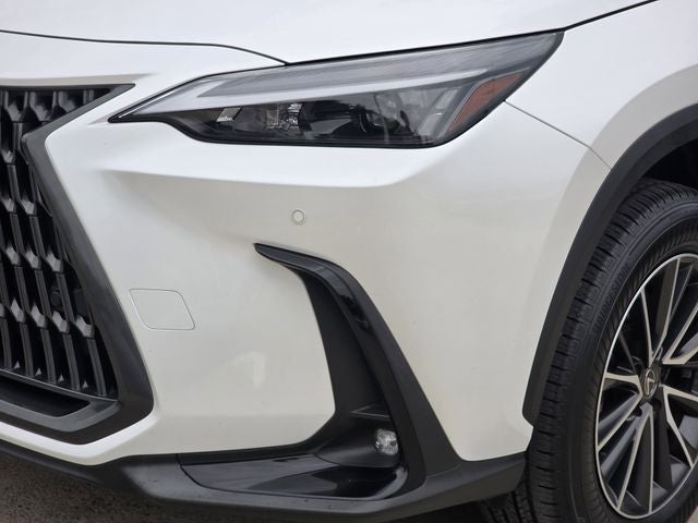 2024 Lexus NX 250 Premium
