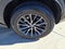 2025 Lexus NX 250 Base